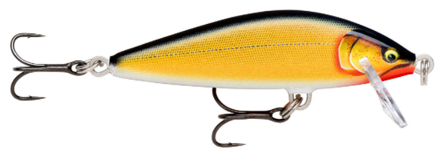 (GDGS) Gilded Gold Shad